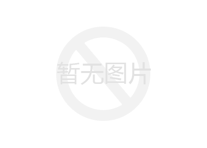 發(fā)電廠SCR板式催化劑專用網(wǎng)-路達(dá)鋼板網(wǎng)廠